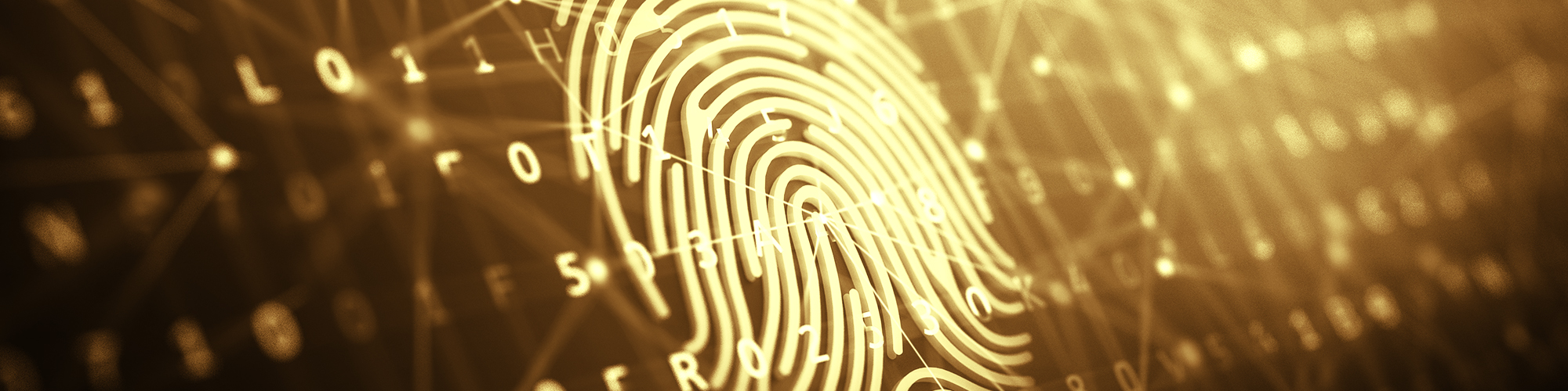 Digital Fingerprint